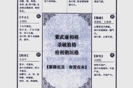 揭秘紫微斗数排盘格局，如何解锁命运的奥秘