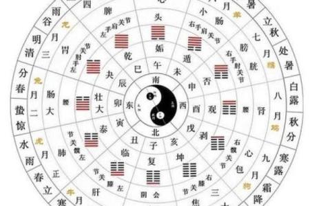 掌握六爻排盘手工指定方法，解锁命理奥秘