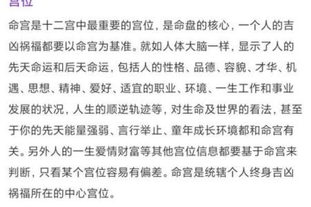 排盘系统排名揭秘，最适合你的究竟是哪一款？