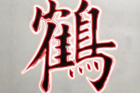 鹤字取名，独特又有内涵的命名之道