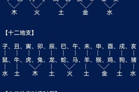 深度剖析天元天干，了解它如何决定命运走向