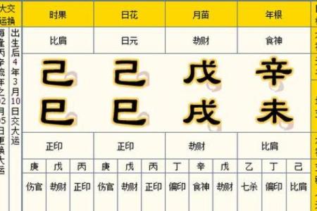 如何通过河洛理数八字排盘预测未来运势