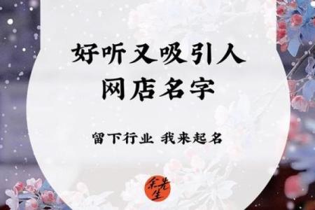 网店名字创意大全，轻松吸引顾客