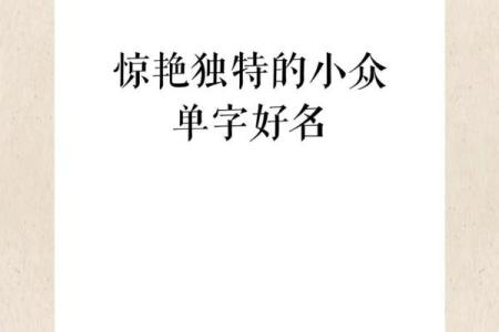 专业洛阳起名公司 助你打造独特名字