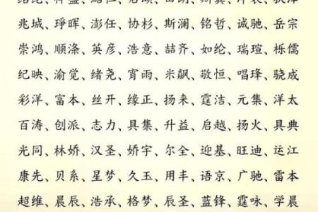 从零到一：矿山公司名字创意大揭秘