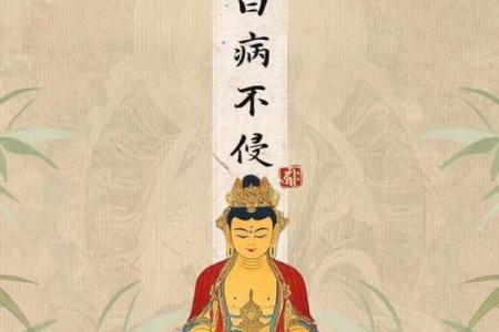 揭秘道童命：神秘传承背后的命运之谜