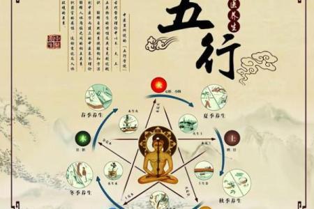 五行金多代表什么？深度解析背后的奥秘