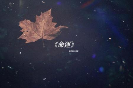 命运之谜：揭秘为何有些人注定孤寡一生