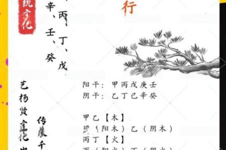 天干透析：解读五行与命运之间的奇妙关系