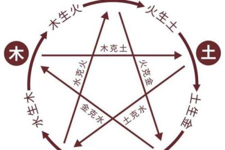 天干地支与五行的深度解析，揭开古老智慧的面纱