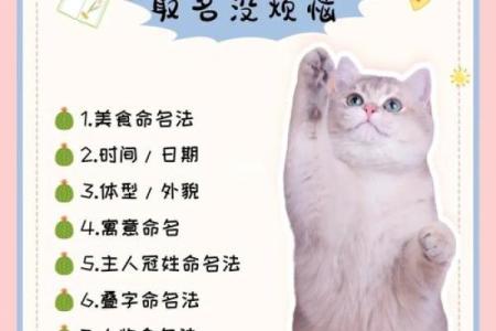 给母狗取个特别名字的终极指南，绝对不雷同