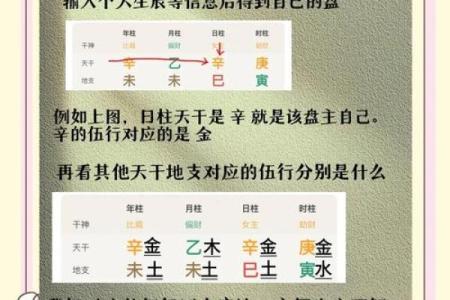 今天排盘选局数技巧大揭秘，轻松掌握最佳局数！