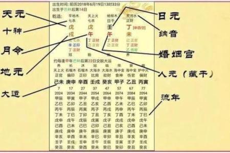 乾网排盘全面解析：掌握命理奥秘，改变人生轨迹