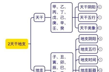 看透地支天干，掌握命运走向的关键