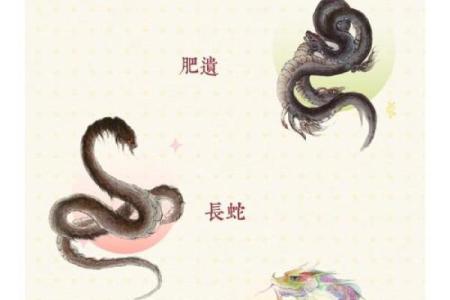 甲辰日：揭秘上等命的神秘力量