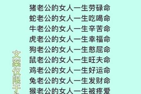 揭秘命格之谜：你的命运究竟由何掌控？