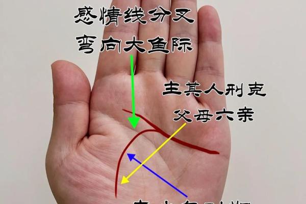 揭秘吕字纹手相：女性运势的神秘密码