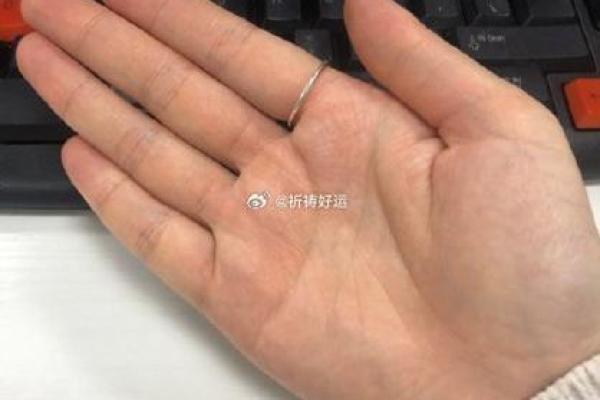 揭秘：梦中儿子的手相，竟预示着这样的未来