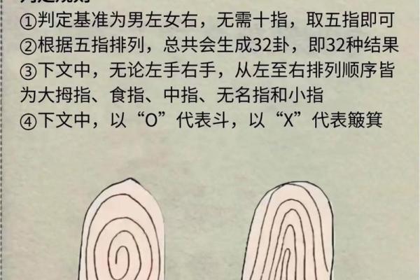 掌中奥秘：揭秘手相线全部名称的神奇力量
