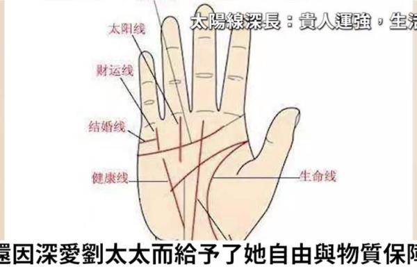 揭秘女性命运密码：手相官纹图解大全，让你一眼看透命运轨迹