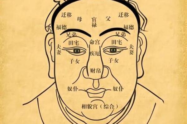 八字与面相：如何从命理角度解读你的外貌特征