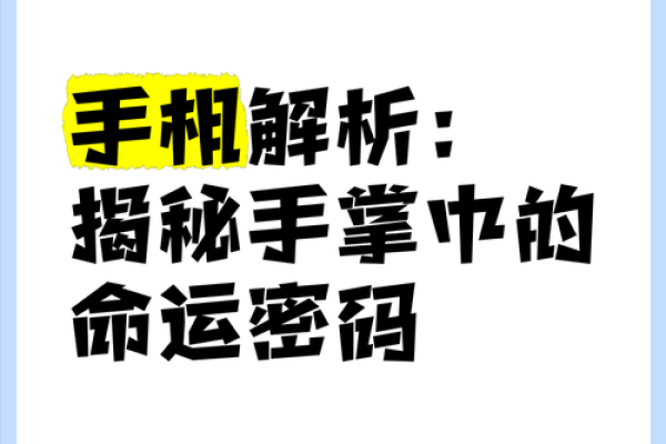 揭秘手相奥秘，掌握运势财富密码