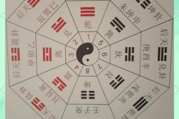 张字五行揭秘，运势大不同