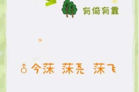 详解莯字五行属性，预测未来运势