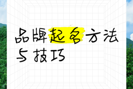 免费公司起名系统，助你打造品牌成功第一步