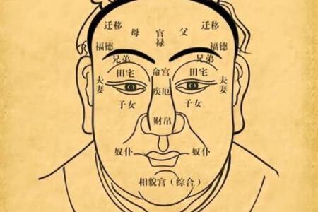 八字与面相：如何从命理角度解读你的外貌特征