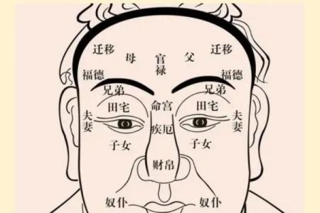 免费八字排盘下载，轻松解析个人命理密码