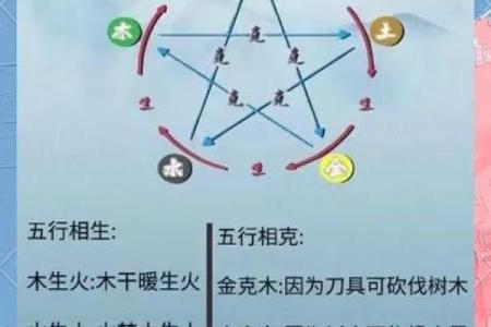 张字五行揭秘，运势大不同