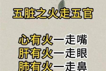 五行属火的能量与事业发展，掌控未来的关键