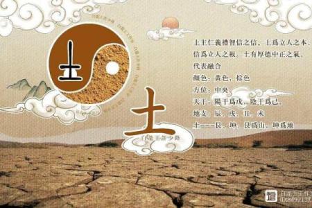 土日柱命理揭秘：揭秘财富运势的秘密武器