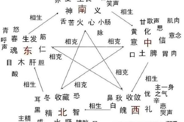 十二天干与五行的神秘关系，揭秘命运密码