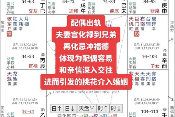 如何利用元亨利贞梅花排盘软件准确解析人生运势