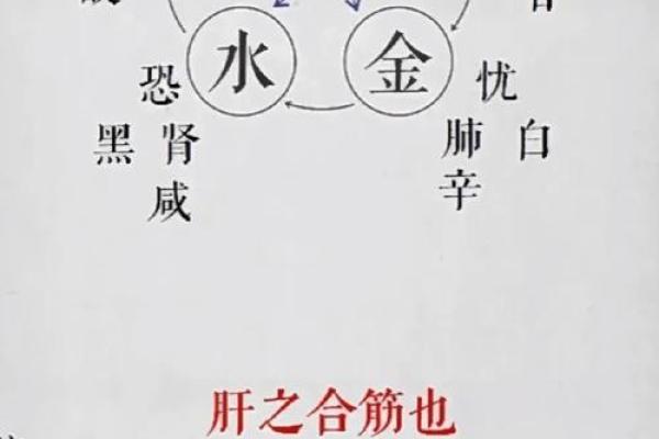 甘字的五行之谜，你了解吗？