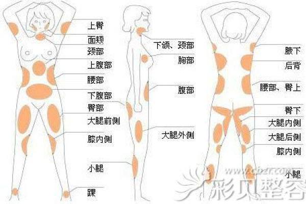 9月8日出生的人，揭秘你的饿命之谜