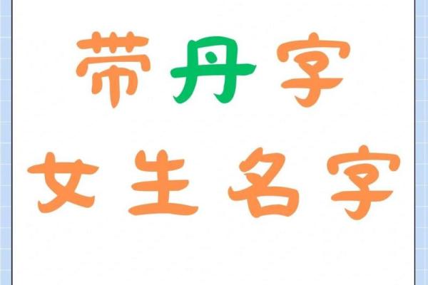 丹字五行属性揭秘