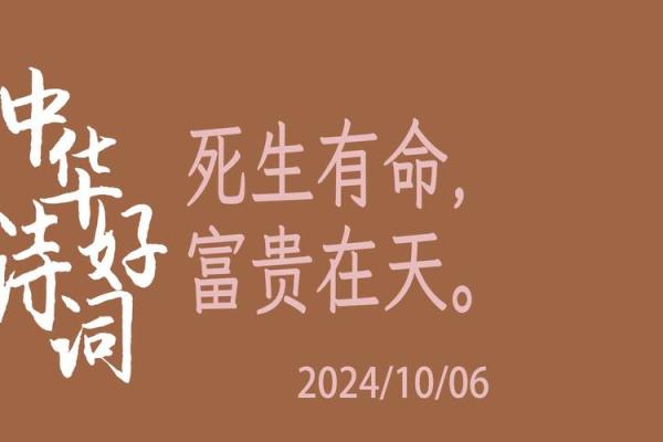 命格是种下，运势自开挂