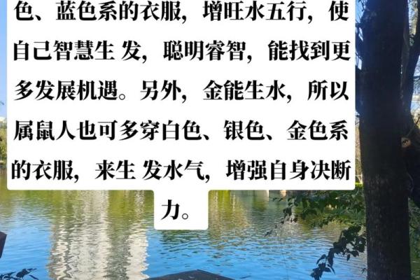 属鼠五行命揭秘：你的命格有何独特之处？
