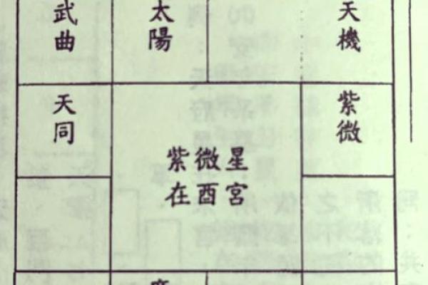 想了解自己未来的趋势？紫微流日排盘帮你精准分析