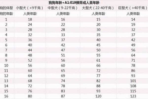狗年命格揭秘：1970年属狗的你是什么命？