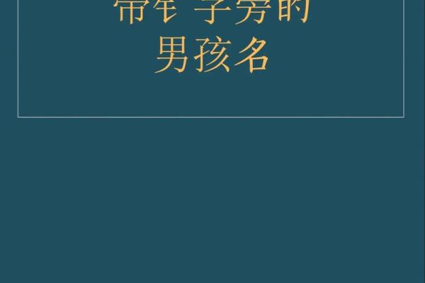 独特又有寓意的五行属金男孩名字