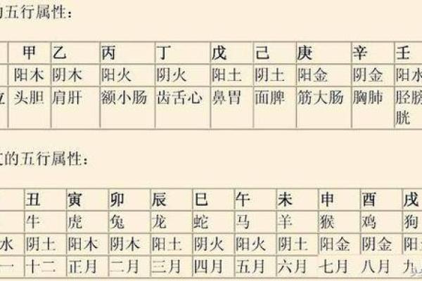 八卦排盘宫揭秘：如何通过八卦看透人生运势