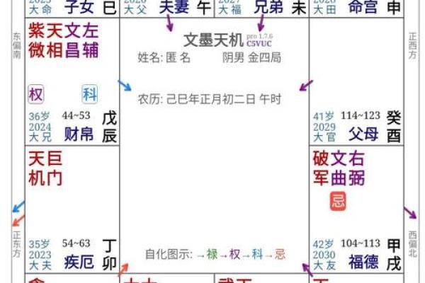 紫微排盘主星缺失？揭秘背后的深层原因与应对策略