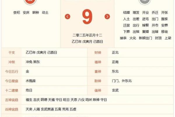 揭秘身命线：你的命运密码，一探究竟