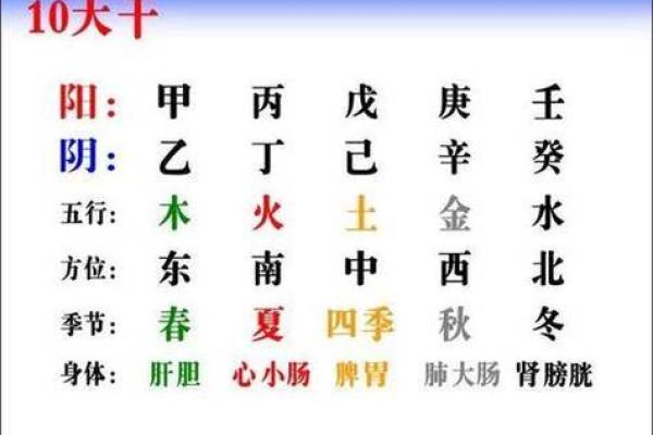 八字中的甲乙丙丁天干，如何影响你的事业与感情