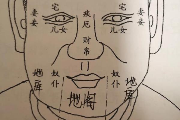 揭秘：饿木命，哪些月份出生的人财运亨通？