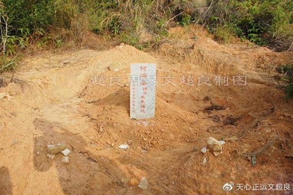 何鸿燊的八字密码：成功背后的命理玄机